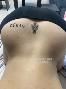 Проститутка Шымкента Девушка№462992 Айка00 Фотография №3638695
