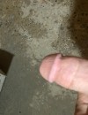 Фотография №3709476